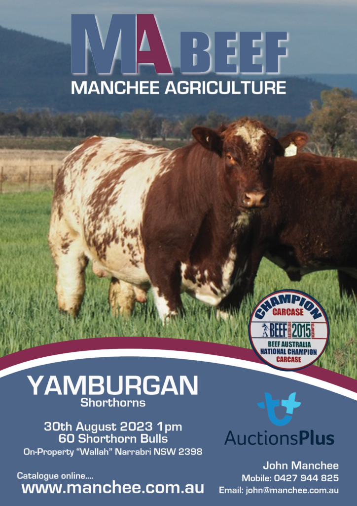 MANCHEE Catlogue Flyer 2023