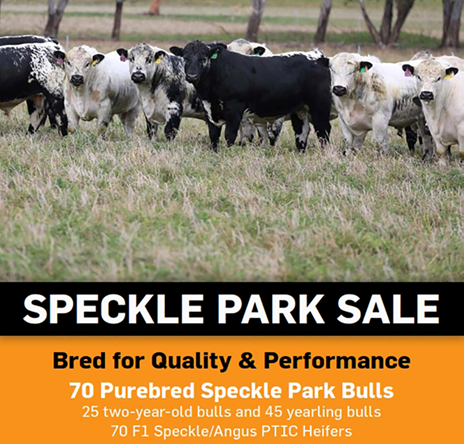 MPC SP SALE 2022 FLYER