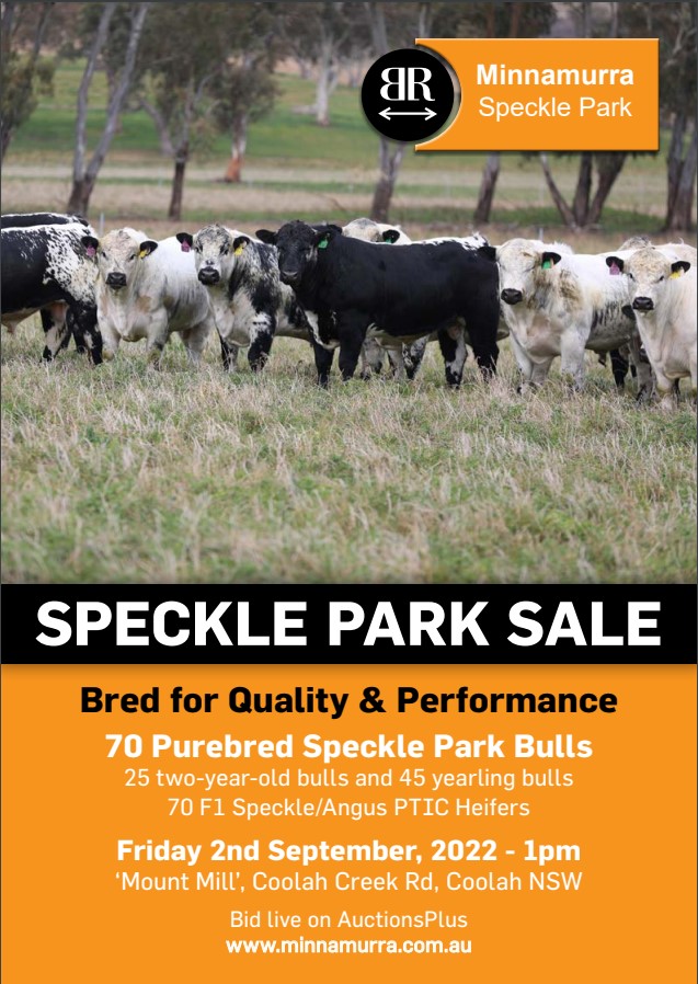 MPC SPECKLE PARK SALE 2022