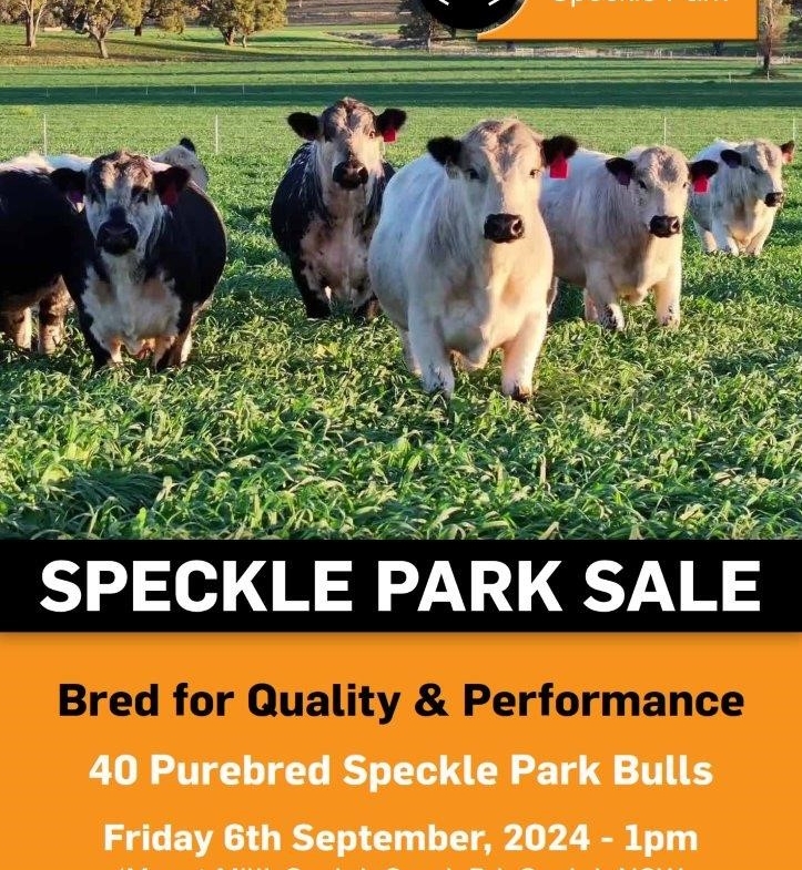 2024 mpc sale flyer