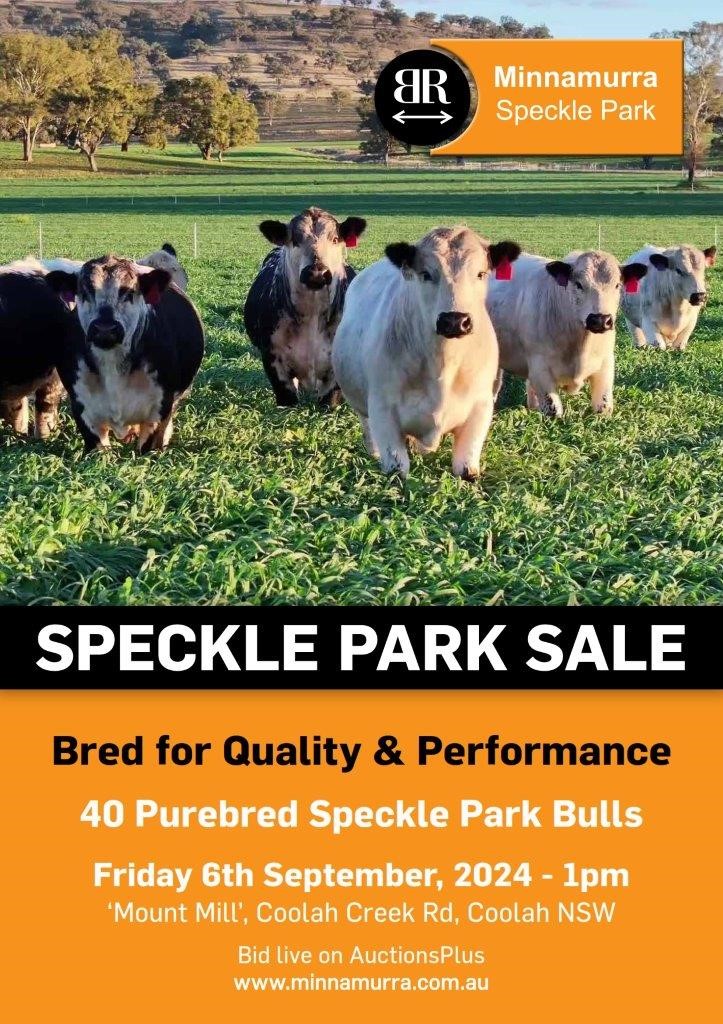 2024 mpc sale flyer